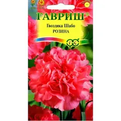 Семена Гвоздика Шабо Розина (а/ф Гавриш)