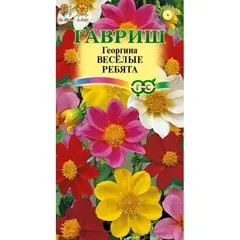 Семена Георгина Веселые ребята смесь (а/ф Гавриш)