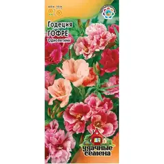 Семена Годеция Гофре смесь махровая (а/ф Гавриш)