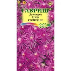 Семена Делосперма Купера Созвездие 10шт (а/ф Гавриш)