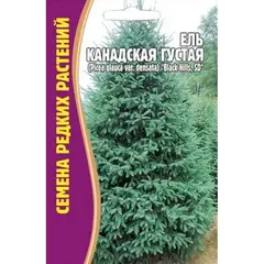 Семена Ель Канадская Густая 10шт (а/ф Редкие семена)