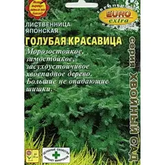 Семена Лиственница Голубая красавица японская (а/ф Аэлита)