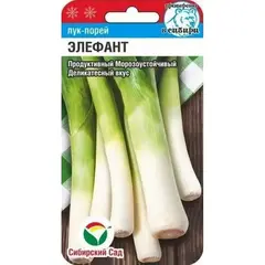 Семена Лук-Порей Элефант 0,5гр (а/ф Сибирский Сад)