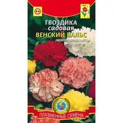 Семена Гвоздика садовая ВЕНСКИЙ ВАЛЬС (а/ф Плазменные Семена)