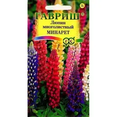 Семена Люпин Минарет,есь (а/ф Гавриш)