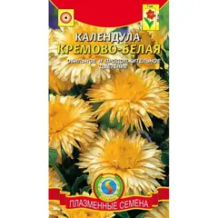 Семена Календула Кремово-Белая (а/ф Уральский Дачник)