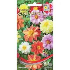 Семена Георгина Фейерверк (а/ф Дом Семян)