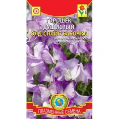 Семена Душистый Горошек Олд Спайс Бабочка (а/ф Плазменные Семена)
