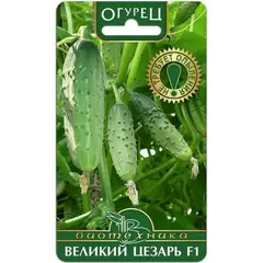 Семена Огурец Великий Цезарь F1 (а/ф Биотехника)