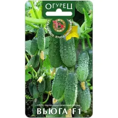 Семена Огурец Вьюга F1 (а/ф Биотехника)