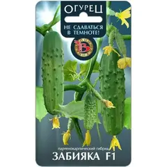 Семена Огурец Забияка F1 (не сдаваться в темноте) (а/ф Биотехника)