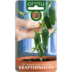 Семена Огурец Квартирант F1 (а/ф Биотехника)