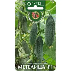 Семена Огурец Метелица F1 (а/ф Биотехника)