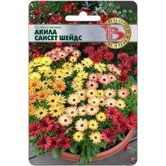 Семена Остеоспермум Акила Сансет Шейдс (а/ф Биотехника)