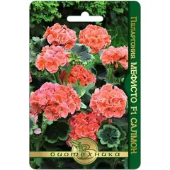 Семена Пеларгония коричневолистная Мефисто F1 Салмон (а/ф Биотехника)