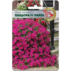 Семена Петуния каскадная Пандора F1 Парпл (а/ф Биотехника)