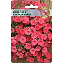 Семена Петуния каскадная Пандора F1 Салмон Шейдс (а/ф Биотехника)