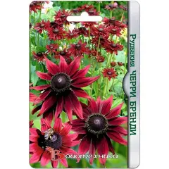 Семена Рудбекия Черри Бренди (а/ф Биотехника)