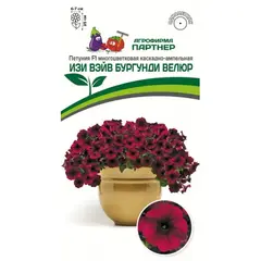 Семена Петуния F1 Изи Вэйв Бургунди Велюр (А/Ф Партнер)