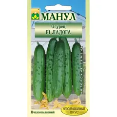 Семена Огурец Ладога F1 (а/ф Манул)