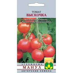 Семена Томат Выскочка (а/ф Манул)