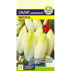 Семена Салат Цикорий Витлуф (а/ф Семена Алтая)