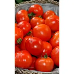 Семена Томат Белле Росса F1 10 Шт (а/ф Росток)
