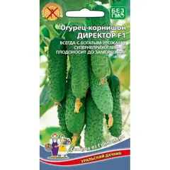 Семена Огурец Директор F1 (а/ф Уральский Дачник)