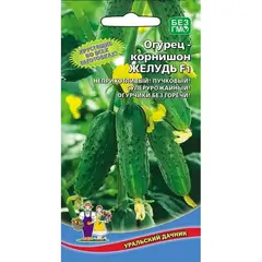 Семена Огурец Желудь - корнишон F1 (а/ф Уральский Дачник)