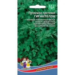 Семена Петрушка Гигантелла - листовая (а/ф Уральский Дачник)