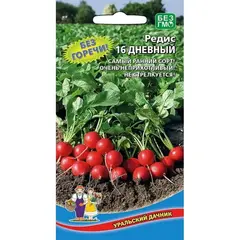 Семена Редис 16 дневный (а/ф Уральский Дачник)