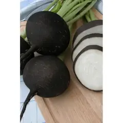 Семена Редька Чернавка (Овощной рай) (а/ф Уральский Дачник)