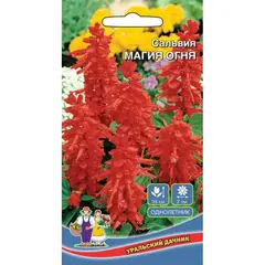 Семена Сальвия Магия огня (а/ф Уральский Дачник)