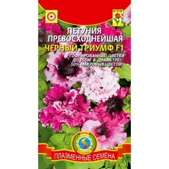Семена Петуния превосходнейшая Черный Триумф F1 (а/ф Плазменные семена)