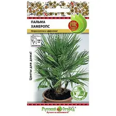 Семена Пальма Хамеропс (зел.дом) (2шт. а/ф Русский Огород)