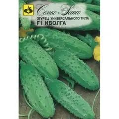 Семена Огурец Иволга F1 (а/ф Семко)