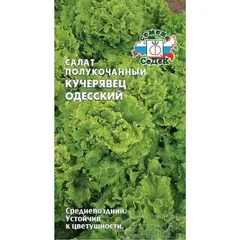 Семена Салат Кучерявец Одесский (полукочанный) (а/ф Седек)