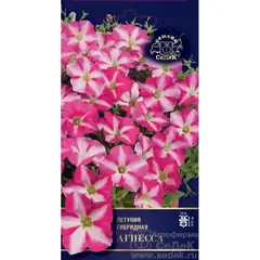 Семена Петуния многоцветковая Агнесса F1 (а/ф Седек)