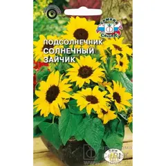 Семена Подсолнечник Солнечный зайчик (а/ф Седек)