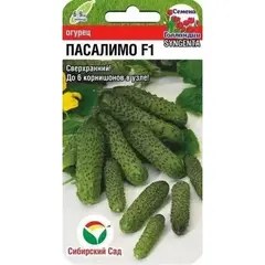 Семена Огурец Пасалимо F1 5шт (а/ф Сибирский Сад)