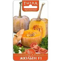 Семена Тыква мускатная Жюльен F1 (а/ф Биотехника)