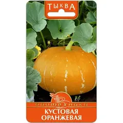 Семена Тыква Кустовая оранжевая (а/ф Биотехника)