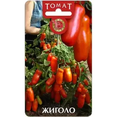 Семена Томат Жиголо (а/ф Биотехника)