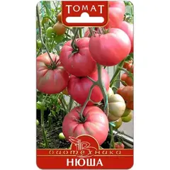 Семена Томат Нюша (а/ф Биотехника)