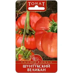 Семена Томат Шунтукский великан (а/ф Биотехника)
