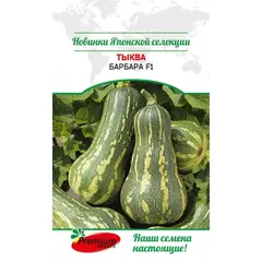 Семена Тыква Барбара F1 (А/Ф Премиум Сидс)