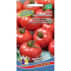 Семена Томат Малиновка (а/ф Уральский Дачник)