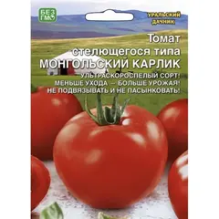 Семена Томат Монгольский Карлик - стелящегося типа (а/ф Уральский Дачник)