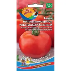 Семена Томат непасынкующийся Ультраскороспелый (а/ф Уральский Дачник)