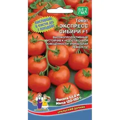 Семена Томат Экспресс Сибири F1 (а/ф Уральский Дачник)